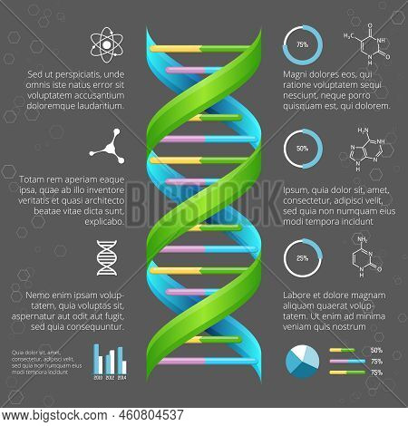 Infographic Template With Dna Structure For Medical And Biological Research. Genetic Health, Life Ev