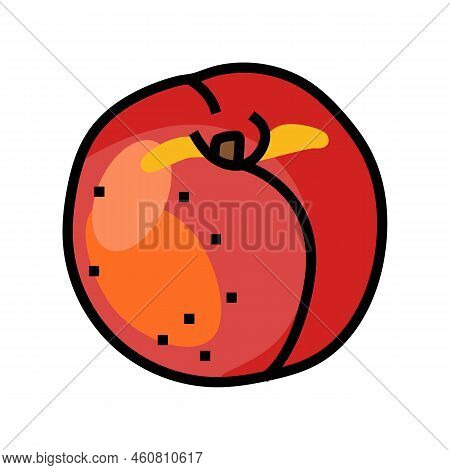 Ripe Nectarine Color Icon Vector. Ripe Nectarine Sign. Isolated Symbol Illustration