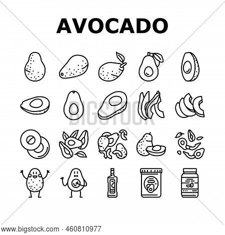 Avocado Food Green Half Icons Set Vector. Vegetable Slice Fresh, Healthy Organic Seed, Tropical Cut 