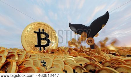 Bitcoin Whale , Whale In Many Bitcoin Ocean And One Big Bitcoin . Whale Is Large Investor In The Btc