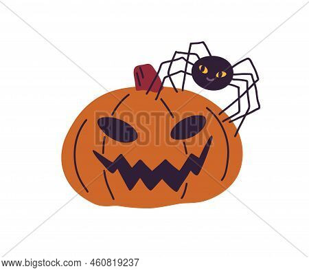 Halloween Jack Pumpkin With Creepy Carved Face And Cute Funny Spider. Scary Spooky Squash For Hellow