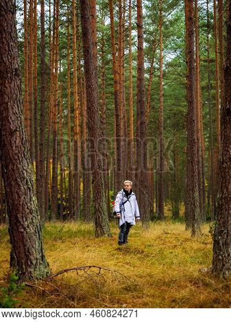 One Person Wearing Raincoat Standing Alone In A Deep Moody Pine Forest In A Rainy Autumn Season