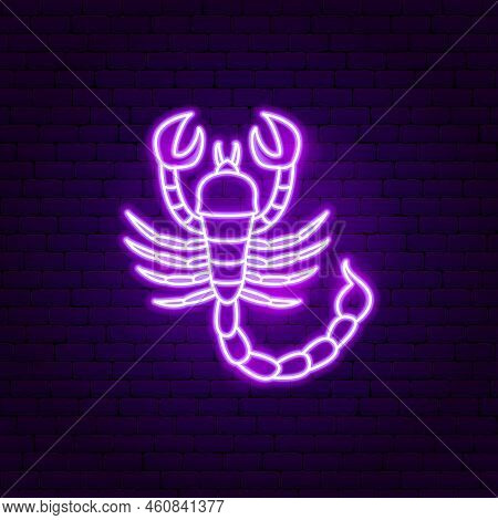 Scorpio Zodiac Neon. Vector Illustration Of Horoscope Promotion.