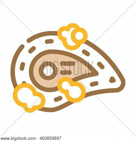 Aleppo Soap Color Icon Vector. Aleppo Soap Sign. Isolated Symbol Illustration