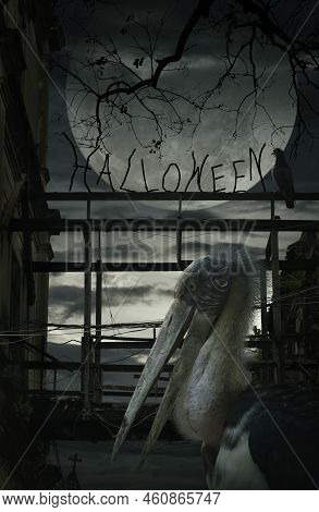 Lesser Adjutant Stork Bird Standing Over Damaged Old Wooden Bridge, Bird, Dead Tree, Full Moon With 