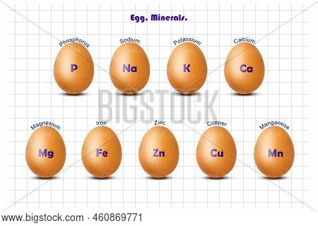 Chicken Egg, Minerals. Various Minerals Are In An Egg, On A White Sheet. Sport. Healthy Food. Diet. 