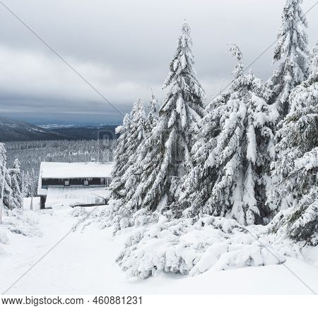Winter Landscape With Mountain Hut Vosecka Bouda And Snowy Spruce Tree Forest With Snow Covered Coni