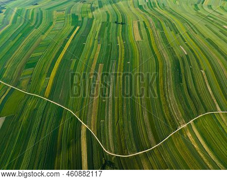 Aerial View Of Decorative Ornaments Of Diverse Green Fields. Suloszowa, Poland