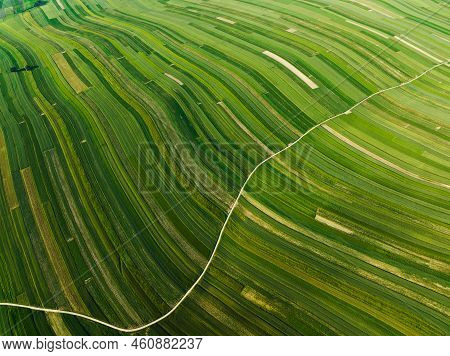 Aerial View Of Decorative Ornaments Of Diverse Green Fields. Suloszowa, Poland