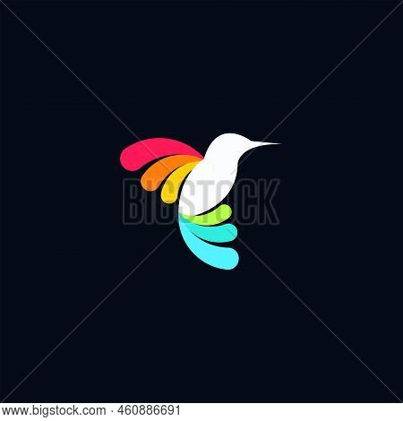 Abstract Colorful Bird Logo Design Cute Bird Logo