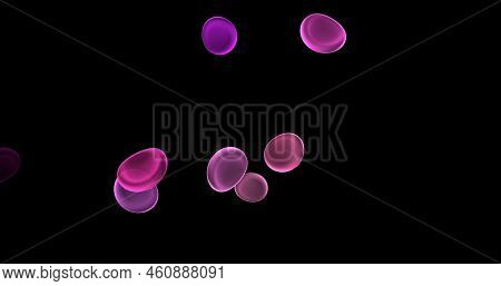Blood Cells, Erythrocytes, Red Blood Cells, Microbes And Microorganisms, Medicine And Biology, Blood