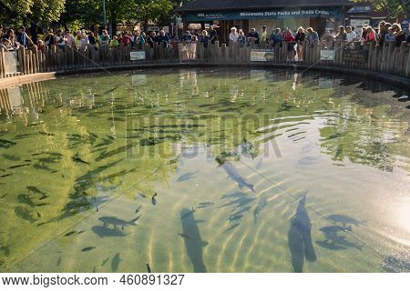 St. Paul, Minnesota - September 3, 2022: Fish Pond At The Natural Resources Park, Sponsored By The M