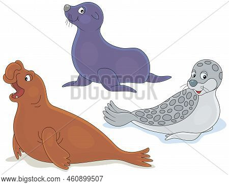 Vector Cartoon Set Of A Funny Sea Elephant And Seals