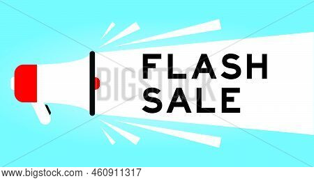 Color Megaphone Icon With Word Flash Sale In White Banner On Blue Background