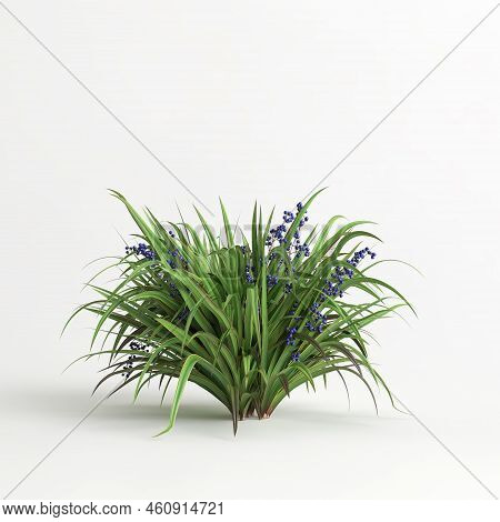 3d Illustration Of Set Dianella Tasmanica Bush Isolated On White Background