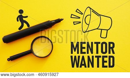 Mentor Wanted Is Shown Using A Text
