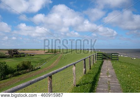 Panoramic Image Of The Landscape Along The Dikes Of Pellworm, North Frisia, Germany