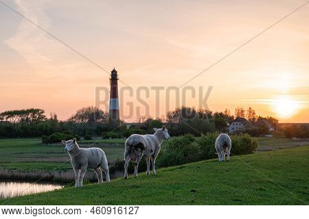 Panoramic Image Of Pellworm Lighthouse Against Sunrise, North Frisia, Germany