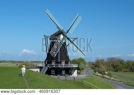 Panoramic Image Of The Windmill Of Pellworm Against Blue Sky, North Frisia, Germany