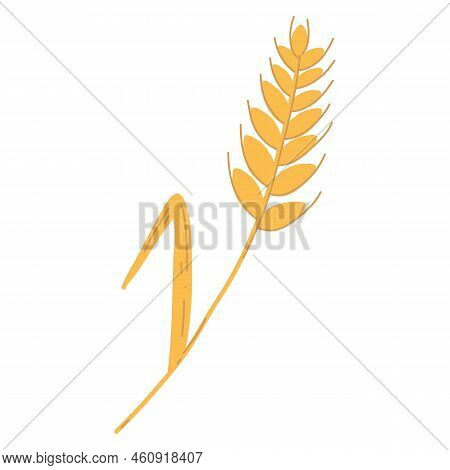Wheat Ear Spikelet With Grains In Cartoon Flat Style. Vector Illustration Of Cereal Grain Stem, Rye 