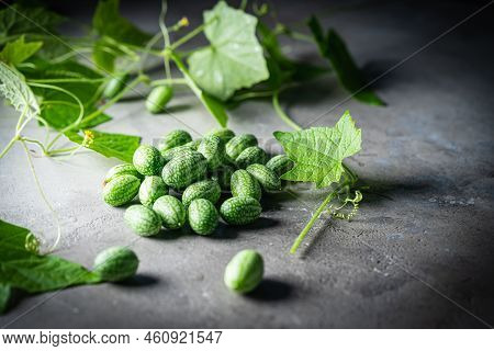 Cucamelon, Melothria Scabra. Organic Mouse Melon Fruits On Gray Background