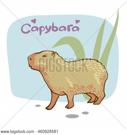 Cute Capybara With Flying Mosquito Hand Drawing Vector