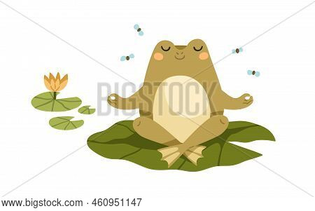 Cute Frog In Meditation Pose. Funny Foggy Relaxing On Leaf In Zen Yoga Position. Happy Baby Animal C
