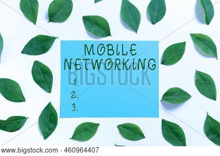 Sign Displaying Mobile Networkingcommunication Network Where The Last Link Is Wireless. Business Ove