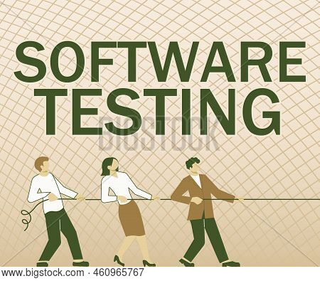 Conceptual Caption Software Testinginvestigation Provide Information About The Quality Of It. Busine