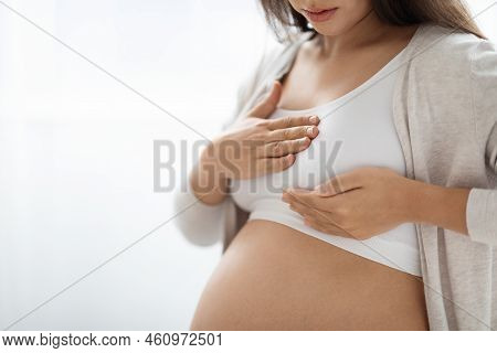 Pregnant Woman Having Painful Feelings In Breast, Copy Space