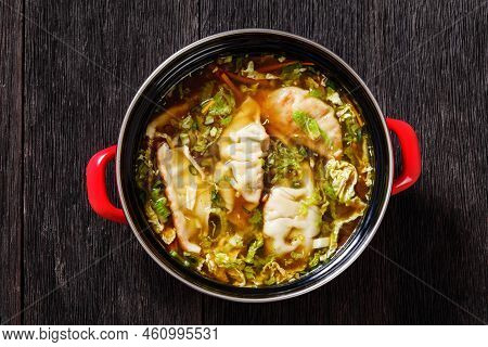 Asian Potsticker Gyoza Soup With Dumpling Of Ground Chicken, Napa Cabbage, Green Onions, Ginger, Cel