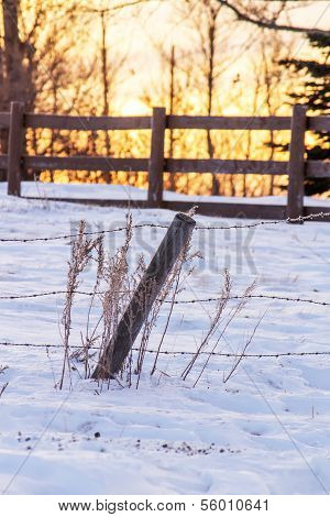 Yellow winter sunrise