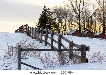 Winter sunrise over a farm
