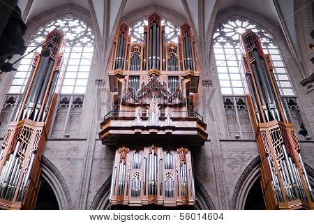 Organ