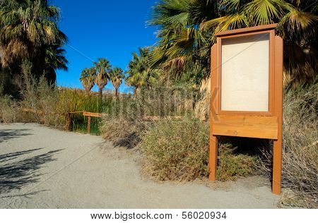 Oasis in desert
