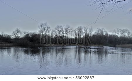 Winter lake
