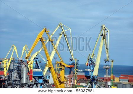 Cargo crane
