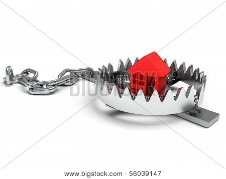 Metal animal trap open with red home