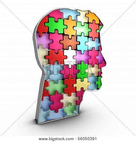 Human Head Infrastructure, Interacting Bricks That Create Mind