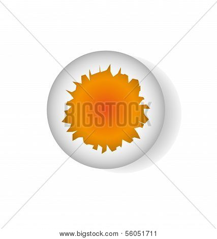 Broken Egg Shell