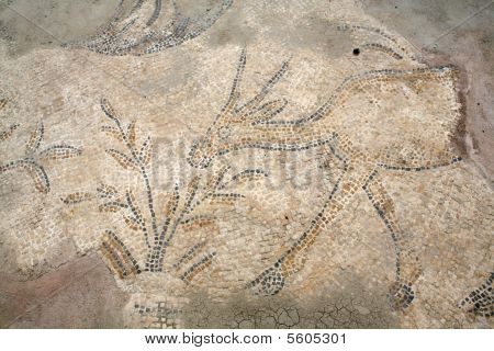 Mosaic Floor at Bet Shean