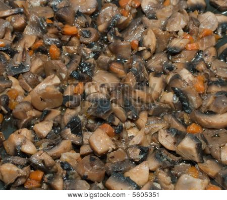 Champignon mad