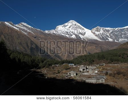 Village Titi and Dhaulagiri