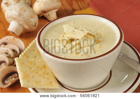 Cream Of Mmushroom Soup