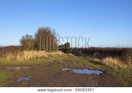 Muddy Winter Bridleway