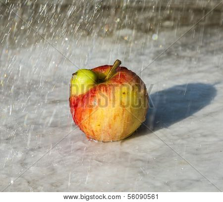 Fresh Apples With Funny Deformations