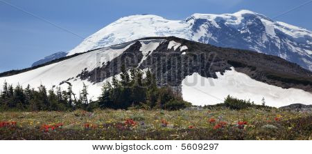 Mount Rainier Sunrise květy sníh