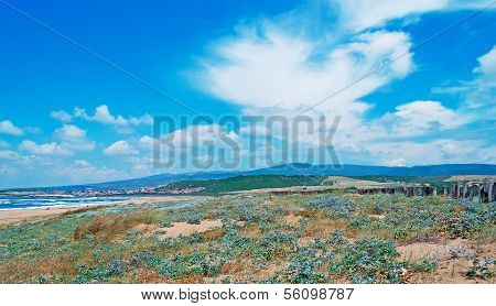 Clouds And Shore