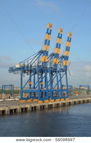Port cargo crane