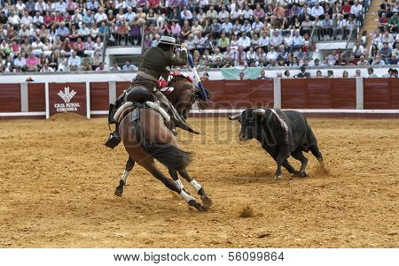 Spanish bullfighter on horseback Diego Ventura bullfighting on horseback